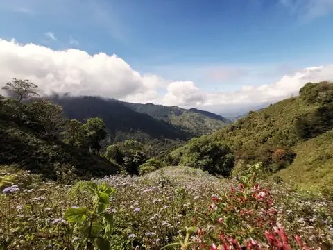 Národní park Chirripó — Sopky a hory, Biorezervace Rio Ángel
