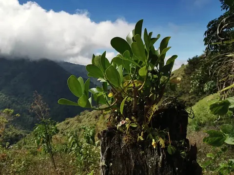 Cordillera de Talamanca — Sopky a hory, Biorezervace Rio Ángel