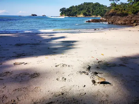 Bílý písek a tyrkysová voda — Pláže a oceán, Biorezervace Rio Ángel