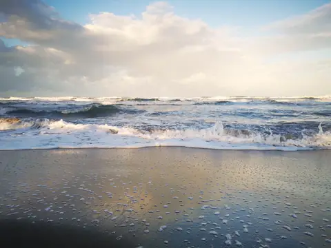 Příboj — Pláže a oceán, Biorezervace Rio Ángel