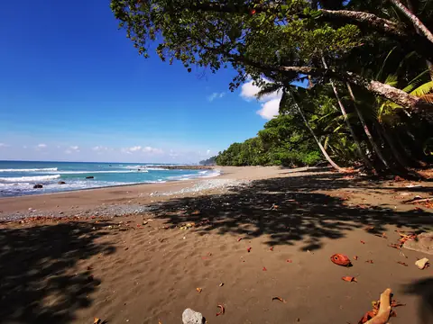 Stín stromů nad pískem — Pláže a oceán, Biorezervace Rio Ángel