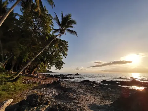 Palmy proti rannímu slunci — Pláže a oceán, Biorezervace Rio Ángel