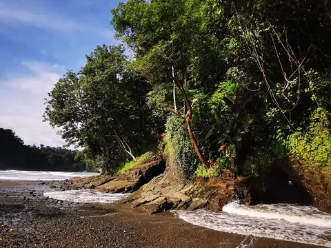 Skalnatý břeh pod džunglí — Pláže a oceán, Biorezervace Rio Ángel