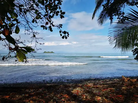 Moře skrz větve — Pláže a oceán, Biorezervace Rio Ángel