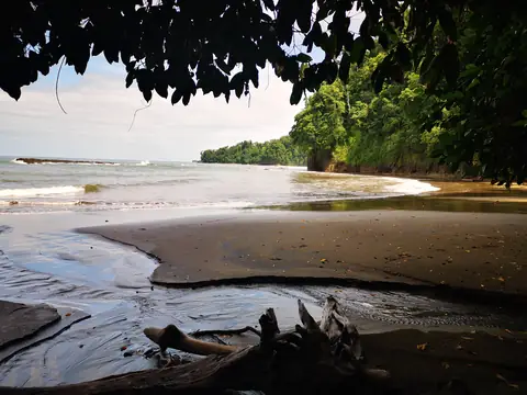 Naplaveniny v odlivu — Pláže a oceán, Biorezervace Rio Ángel