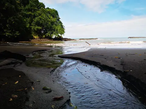 Potok ústící do moře — Pláže a oceán, Biorezervace Rio Ángel