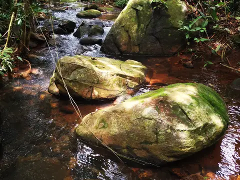 Mechem porostlé kameny — Říčka, Biorezervace Rio Ángel
