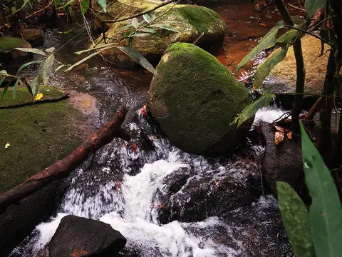 Peřej v lese — Říčka, Biorezervace Rio Ángel