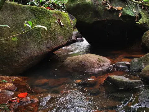 Voda mezi balvany — Říčka, Biorezervace Rio Ángel