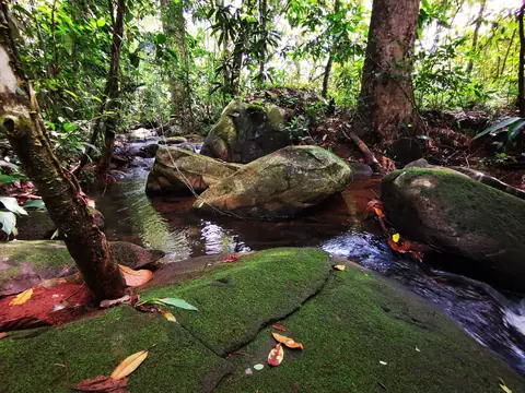 Koryto pod stromy — Říčka, Biorezervace Rio Ángel