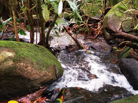 Kaskáda — Říčka, Biorezervace Rio Ángel