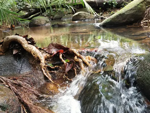 Peřej pod padlým kmenem — Říčka, Biorezervace Rio Ángel