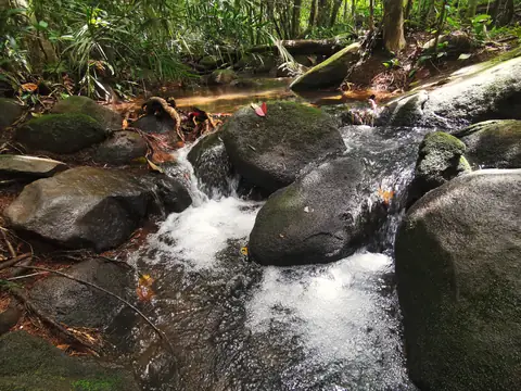 Oblázkové dno — Říčka, Biorezervace Rio Ángel