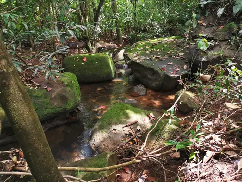 Tůň v lese — Říčka, Biorezervace Rio Ángel