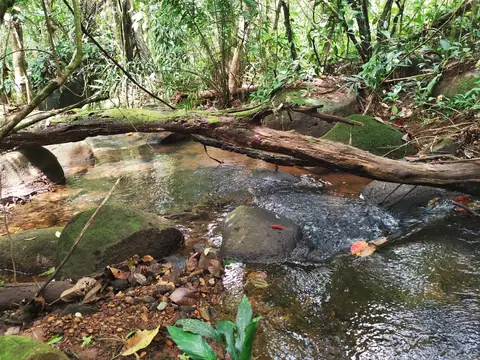 Klidná tůň — Říčka, Biorezervace Rio Ángel