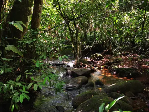 Koryto v podrostu — Říčka, Biorezervace Rio Ángel