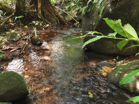 Průzračná voda — Říčka, Biorezervace Rio Ángel