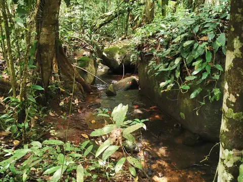 Říčka pod korunami — Říčka, Biorezervace Rio Ángel