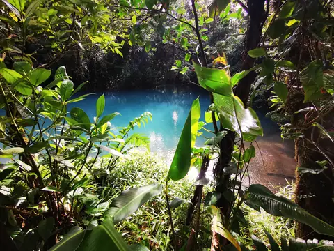 Tůň v deštném lese — Vodopády a řeky, Biorezervace Rio Ángel