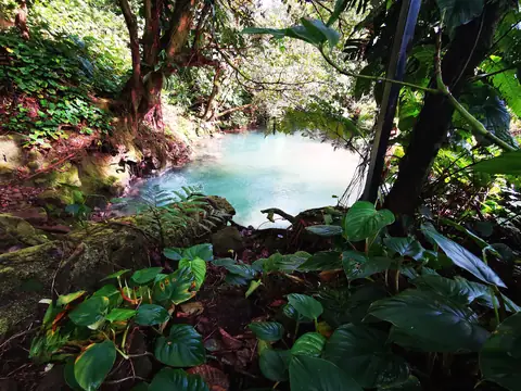 Modrá voda mezi kořeny — Vodopády a řeky, Biorezervace Rio Ángel