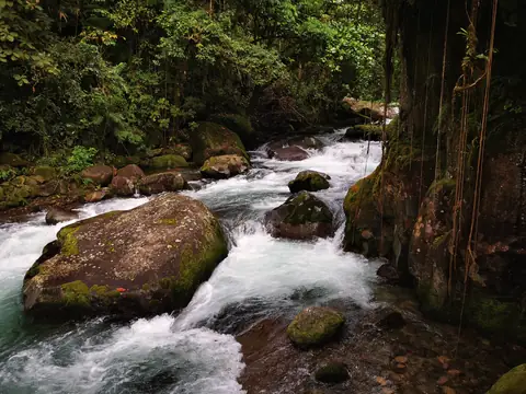 Řeka mezi kmeny — Vodopády a řeky, Biorezervace Rio Ángel