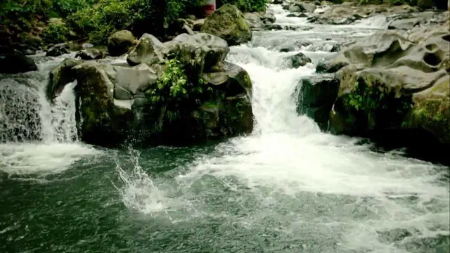 Náhled videa Explore the Happiness of Nature